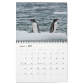 動物野生生命事務所ホームデスティニーの運命 カレンダー (3月 2027)