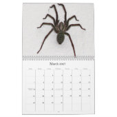 動物2013カレンダー カレンダー (3月 2027)