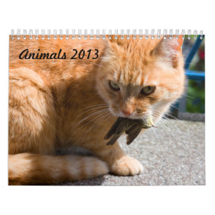 動物2013カレンダー カレンダー