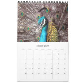 動物2015年 カレンダー (1月 2026)