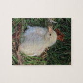 動物,ひよこが緑の草の上で生きている ジグソーパズル (横)