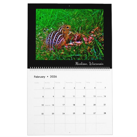 動物 カレンダー (2月 2026)