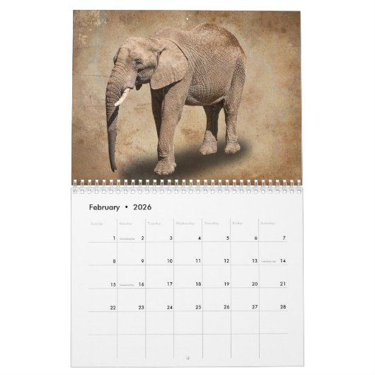 動物 カレンダー (2月 2026)