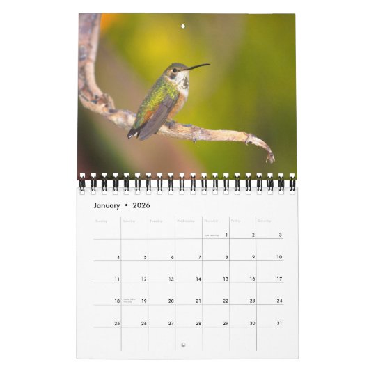 動物 カレンダー (1月 2026)