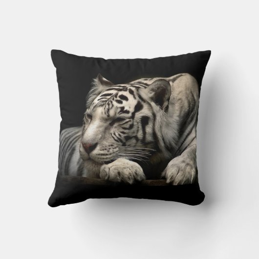 動物 クッション (裏面)