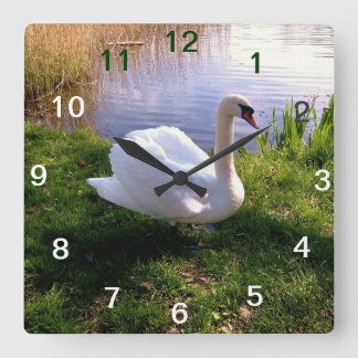 動物 スクエア壁時計