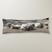 動物 ボディピロー (裏面)