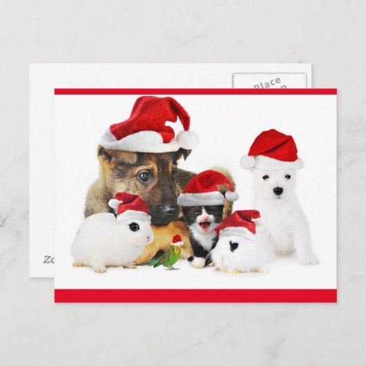 動物 ポストカード (正面/裏面)