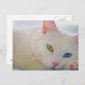 動物 ポストカード (正面/裏面)