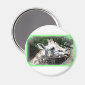 動物 マグネット (正面/裏面)