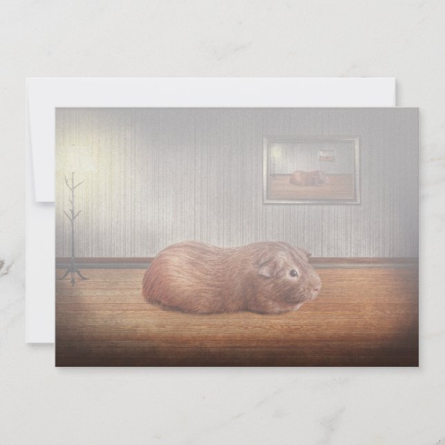 動物 – モルモット (正面)