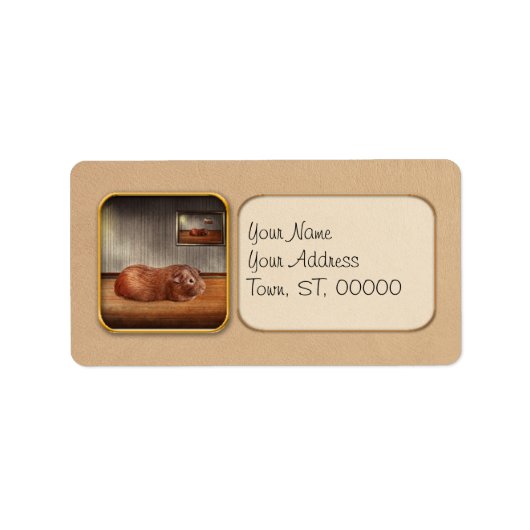 動物-モルモット ラベル (正面)