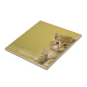 動物-好奇心が強いベビーの子ネコ タイル (側面)