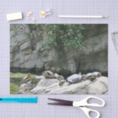 動物，水，亀，石，花，自然 薄葉紙 (クラフト)