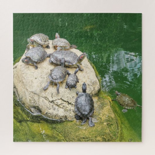 動物，爬虫類，カメ，水，自然，植物， ジグソーパズル (縦)