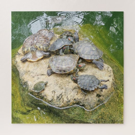 動物，爬虫類，カメ，水，自然，植物， ジグソーパズル (縦)