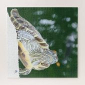 動物，爬虫類，カメ，水，自然，植物， ジグソーパズル (横)
