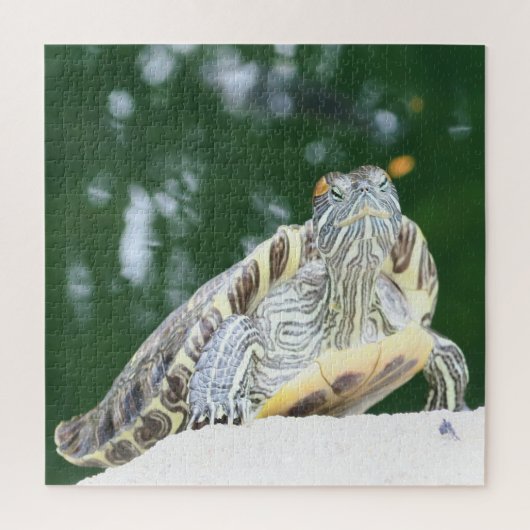 動物，爬虫類，カメ，水，自然，植物， ジグソーパズル (縦)