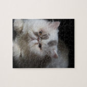 動物，猫，白，ペット，子猫，孤立，かわいい ジグソーパズル (横)