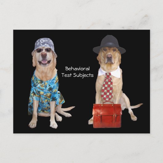 動物/研究室/犬の動作勉強 ポストカード (正面)