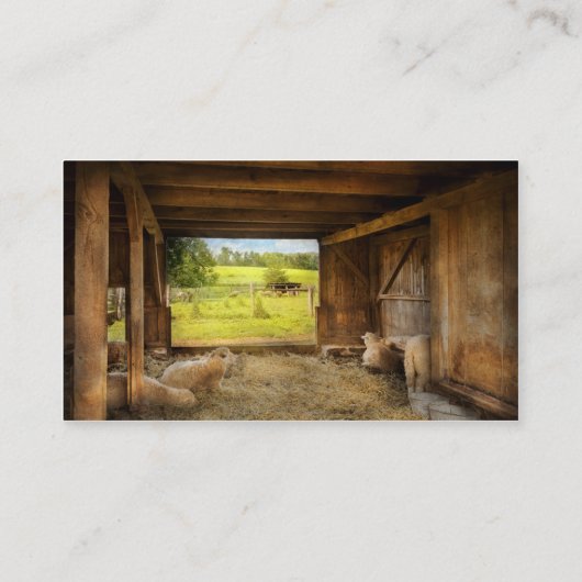 動物 – 羊 – 羊のカウント 名刺 (裏面)