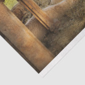 動物 – 羊 – 羊を数える 薄葉紙 (詳細)