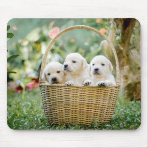 動物，自然，子犬 マウスパッド