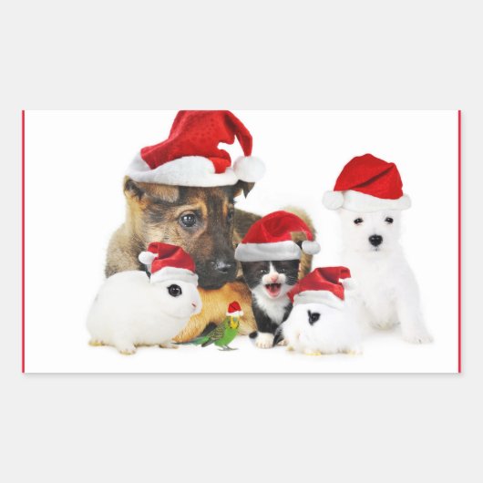 動物 長方形シール (正面)