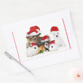 動物 長方形シール (封筒)