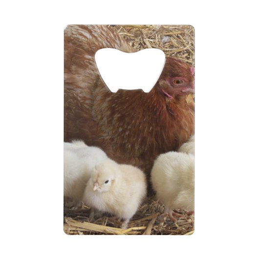動物，雛，鶏肉，農場，かわいい，鳥，ベビー クレジットカード栓抜き (正面)