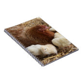 動物，雛，鶏肉，農場，かわいい，鳥，ベビー ノートブック (右側)