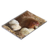 動物，雛，鶏肉，農場，かわいい，鳥，ベビー ノートブック (左側)