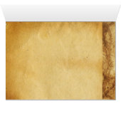 動物、飼育馬、飼育馬、犬を含む組成物 (内部横(下))