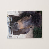 動物,馬,ポニー ジグソーパズル (横)