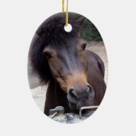 動物，馬，ポニー セラミックオーナメント