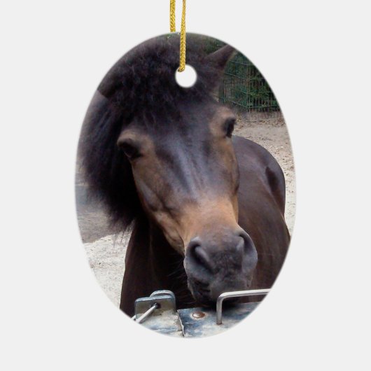 動物，馬，ポニー セラミックオーナメント (裏面)