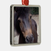 動物，馬，ポニー メタルオーナメント (右)