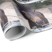 動物，馬，ポニー ラッピングペーパー (ロールコーナー)