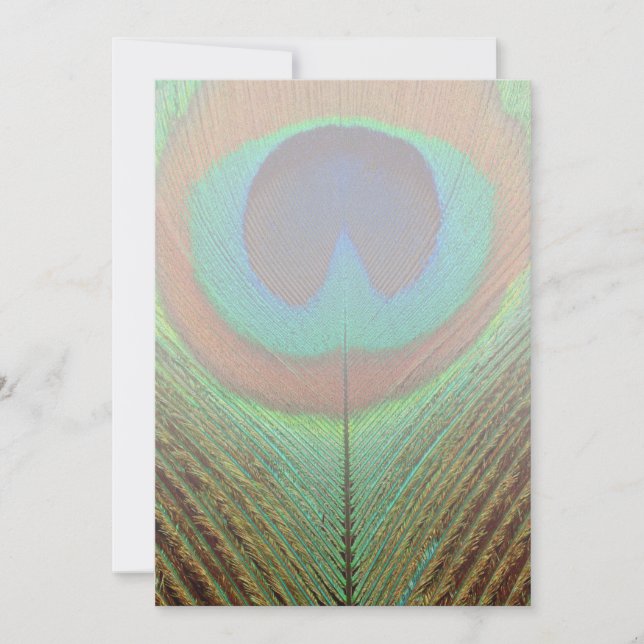 動物 – 鳥 – 孔雀の羽 (正面)