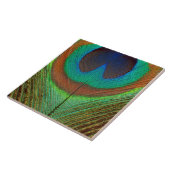 動物-鳥-孔雀の羽 タイル (側面)