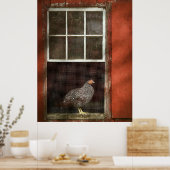 動物 – 鳥 – 窓の中の鶏 ポスター (キッチン)