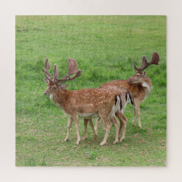 動物,鹿,自然,野生動物,野生,シカ,森 ジグソーパズル