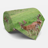 動物,鹿,野生動物,森,牧草地,狩り, G ネクタイ (ロール)