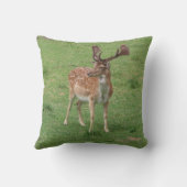 動物，鹿，野生動物，森，牧草地，狩り, n クッション (裏面)