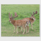 動物，鹿，野生動物，森，牧草地，狩り, n ラッピングペーパー (フラット)