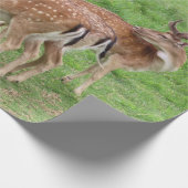 動物，鹿，野生動物，森，牧草地，狩り, n ラッピングペーパー (角)
