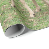 動物，鹿，野生動物，森，牧草地，狩り, n ラッピングペーパー (ロールコーナー)