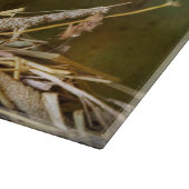 動物 – Cat - Cat昼寝 カッティングボード (角)