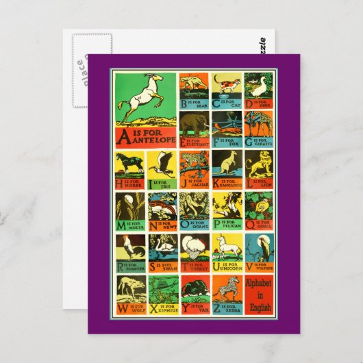 動物abcのアルファベットの図表の先生および学習者 ポストカード (正面/裏面)