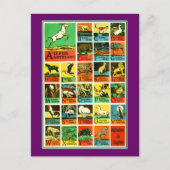 動物abcのアルファベットの図表の先生および学習者 ポストカード (正面)